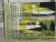 Dschungel - Julia Germscheid - Acryl auf Leinwand - - Abstrakt Dschungel - Julia Germscheid - Acryl auf Leinwand - - Abstrakt