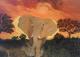 Elefant - Jenny Rabich - auf - Elefanten - Elefant - Jenny Rabich - auf - Elefanten -
