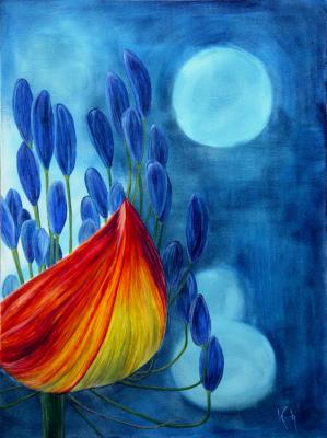 Agapanthus (aufbrechende Blüte) - Ursula Koch - Array auf Array - Array - Agapanthus (aufbrechende Blüte) - Ursula Koch - Array auf Array - Array -