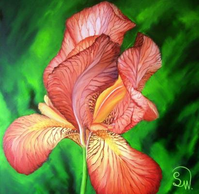 Iris Impromptu - Simone Wilhelms - Array auf Array - Array - Array Iris Impromptu - Simone Wilhelms - Array auf Array - Array - Array