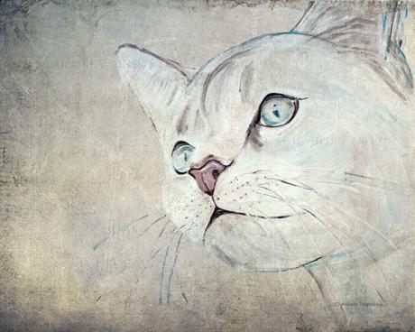 Cats Moments 2 - Annett Tropschug - Array auf Array - Array - Array Cats Moments 2 - Annett Tropschug - Array auf Array - Array - Array