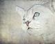 Cats Moments 2 - Annett Tropschug - Acryl auf Leinwand - Katzen-Freude - Figuration-Gegenständlich-Klassisch-Naturalismus-Realismus Cats Moments 2 - Annett Tropschug - Acryl auf Leinwand - Katzen-Freude - Figuration-Gegenständlich-Klassisch-Naturalismus-Realismus
