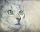 Cats Moments 3 - Annett Tropschug - Acryl auf Leinwand - Katzen - Figuration-Gegenständlich-Impressionismus-Klassisch-Naturalismus-Realismus Cats Moments 3 - Annett Tropschug - Acryl auf Leinwand - Katzen - Figuration-Gegenständlich-Impressionismus-Klassisch-Naturalismus-Realismus