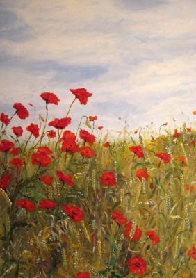 ---Junimohn - peter paint - Array auf Array - Array - Array