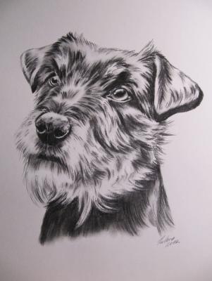 Terrier im Portrait, in Kohle - Gaby Lukas - Array auf - Array - Terrier im Portrait, in Kohle - Gaby Lukas - Array auf - Array -