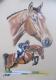 Collage, Pferd im Portrait und Sprung - Gaby Lukas - Pastell auf Papier - Pferde - Collage, Pferd im Portrait und Sprung - Gaby Lukas - Pastell auf Papier - Pferde -