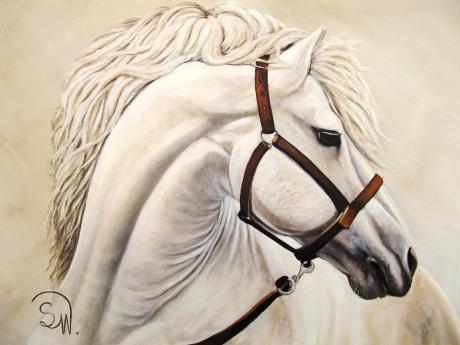 Pferdeporträt Frida - Simone Wilhelms - Array auf Array - Array - Array Pferdeporträt Frida - Simone Wilhelms - Array auf Array - Array - Array