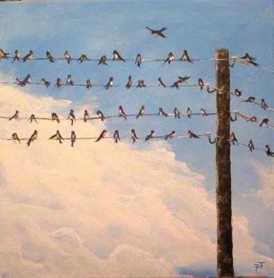 Flugpause - peter paint - Array auf Array - Array - Array Flugpause - peter paint - Array auf Array - Array - Array