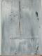 Katamaran - Nicole Kurtz- Pankoke - Acryl auf Leinwand - - Abstrakt Katamaran - Nicole Kurtz- Pankoke - Acryl auf Leinwand - - Abstrakt