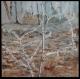 Raureif am Etzelsee 1 - Marina Votteler - Acryl auf Leinwand - - Gegenständlich Raureif am Etzelsee 1 - Marina Votteler - Acryl auf Leinwand - - Gegenständlich
