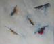 ephebos - tomas nittner - Acryl auf Leinwand - Abstrakt - Abstrakt ephebos - tomas nittner - Acryl auf Leinwand - Abstrakt - Abstrakt