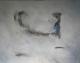 argonaut - tomas nittner - Acryl auf Leinwand - Abstrakt - Abstrakt argonaut - tomas nittner - Acryl auf Leinwand - Abstrakt - Abstrakt
