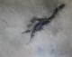 beyond - tomas nittner - Acryl auf Leinwand - Abstrakt - beyond - tomas nittner - Acryl auf Leinwand - Abstrakt -