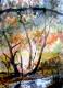 AUWALD - Edith Rita Neumeier - Aquarell auf Papier - Bäume-Himmel-FluÃ-Wald-Sehnsucht-Herbst-Sonnenuntergang - Gegenständlich AUWALD - Edith Rita Neumeier - Aquarell auf Papier - Bäume-Himmel-FluÃ-Wald-Sehnsucht-Herbst-Sonnenuntergang - Gegenständlich