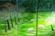 Schafweide - Gabriele Bild= Energie - Acryl auf Leinwand - Tiere-Wiese-Frühling - Abstrakt-Gegenständlich Schafweide - Gabriele Bild= Energie - Acryl auf Leinwand - Tiere-Wiese-Frühling - Abstrakt-Gegenständlich
