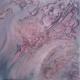 Himmlischer Weg - Thali Spirit - Acryl-Ãl auf Leinwand - Abstrakt-Mystik - Himmlischer Weg - Thali Spirit - Acryl-Ãl auf Leinwand - Abstrakt-Mystik -