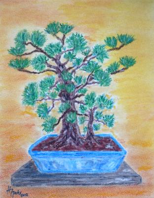 Bonsai - Dr. Hans-Joachim Jaster - Array auf Array - Array - Array Bonsai - Dr. Hans-Joachim Jaster - Array auf Array - Array - Array