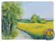 Rapsfelder i. d. Oberlausitz - Angelika Hiller - Aquarell auf Karton - Landschaft - Gegenständlich Rapsfelder i. d. Oberlausitz - Angelika Hiller - Aquarell auf Karton - Landschaft - Gegenständlich