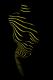 lines - Oliver Plath - auf - weiblich - lines - Oliver Plath - auf - weiblich -
