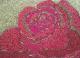 Rote Rose - Alexander Schmidt - auf Karton-Metall-Pappe - Rosen-Sonstiges - Rote Rose - Alexander Schmidt - auf Karton-Metall-Pappe - Rosen-Sonstiges -