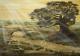 Unten am Fluss - Conny Krakowski - Acryl auf Leinwand - Landschaft - Fotorealismus Unten am Fluss - Conny Krakowski - Acryl auf Leinwand - Landschaft - Fotorealismus