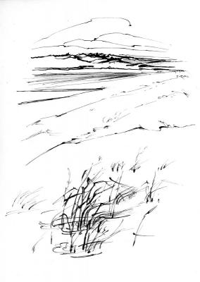 Landschaft 8 - Natalya Avdyunicheva - auf - Array - Landschaft 8 - Natalya Avdyunicheva - auf - Array -