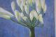 Blau Grün - Alexandra Ludolph - Acryl auf Leinwand - Blumen - Abstrakt Blau Grün - Alexandra Ludolph - Acryl auf Leinwand - Blumen - Abstrakt