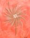 Strohblume - Joerg Koch - Acryl auf Leinwand - Blumen - Abstrakt Strohblume - Joerg Koch - Acryl auf Leinwand - Blumen - Abstrakt