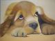 Spaniel - Anna Eck - Ãl auf - Hunde - Spaniel - Anna Eck - Ãl auf - Hunde -