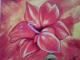 ---Feuerlilie - Uschi Brudny - auf - Blumen - ---Feuerlilie - Uschi Brudny - auf - Blumen -