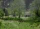 Naturewho - Immo Jalass - auf - Garten - Naturewho - Immo Jalass - auf - Garten -