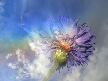 Blaue Stunde... - Ulrike Kirschner - Array auf - Array - Blaue Stunde... - Ulrike Kirschner - Array auf - Array -