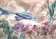 Der blaue Fisch - Dubravka Topic - Enkaustik auf - Fische - Der blaue Fisch - Dubravka Topic - Enkaustik auf - Fische -
