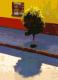 No. 265 - Kunstbetrieb Alujevic - Illustration auf - - No. 265 - Kunstbetrieb Alujevic - Illustration auf - -