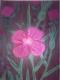 blume lila - melanie schuster - auf - Natur - blume lila - melanie schuster - auf - Natur -