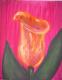 calla - melanie schuster - auf - Botanik - calla - melanie schuster - auf - Botanik -