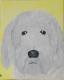 hund - melanie schuster - auf - Natur - hund - melanie schuster - auf - Natur -
