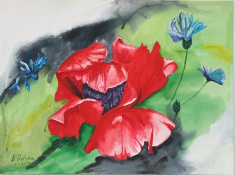 Klatschmohn dunkel - Egon Rathke - Array auf - Array - Klatschmohn dunkel - Egon Rathke - Array auf - Array -