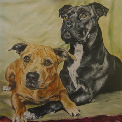 Die Staffs - Vera Eisberg - auf - Array - Die Staffs - Vera Eisberg - auf - Array -