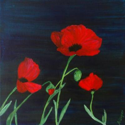 Abendlied der Mohnblume - Aleks Wagner - Array auf Array - Array - Array Abendlied der Mohnblume - Aleks Wagner - Array auf Array - Array - Array