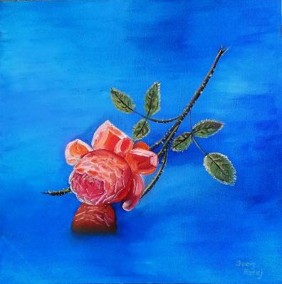 Für dich - Georg Rataj - Array auf Array - Array - Array Für dich - Georg Rataj - Array auf Array - Array - Array