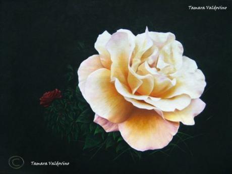 Esplenderosa - Tamara Valdovino - Array auf Array - Array - Array Esplenderosa - Tamara Valdovino - Array auf Array - Array - Array