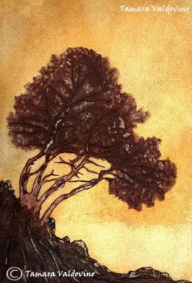 Amanecer - Tamara Valdovino - Array auf - Array - Amanecer - Tamara Valdovino - Array auf - Array -