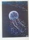 In the deep - Maurin Thies - Acryl auf - Fantastisch-Fische - Naturalismus-Realismus-Symbolismus In the deep - Maurin Thies - Acryl auf - Fantastisch-Fische - Naturalismus-Realismus-Symbolismus