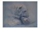 Die Mutter und der kleine Bär - Nikolay Damyanov - Acryl auf - Wildtiere - Realismus Die Mutter und der kleine Bär - Nikolay Damyanov - Acryl auf - Wildtiere - Realismus