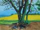 Rabsfeld an der Steilküste von Schöhagen - Egon Rathke - Aquarell auf - Landwirtschaft-Botanik-Küste - Rabsfeld an der Steilküste von Schöhagen - Egon Rathke - Aquarell auf - Landwirtschaft-Botanik-Küste -