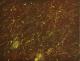 Inferno - Michael Schirdewahn - Acryl auf Leinwand - Abstrakt - Inferno - Michael Schirdewahn - Acryl auf Leinwand - Abstrakt -