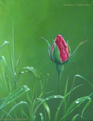 PLenitude - Tamara Valdovino - Array auf Array - Array - Array PLenitude - Tamara Valdovino - Array auf Array - Array - Array