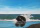 Fester Halt im Leben - Anja Majorow - Acryl auf Leinwand - Küste-Himmel-Meer-Wolken-Hoffnung-Stärke-Frühling-Sommer - Abstrakt-Fotorealismus Fester Halt im Leben - Anja Majorow - Acryl auf Leinwand - Küste-Himmel-Meer-Wolken-Hoffnung-Stärke-Frühling-Sommer - Abstrakt-Fotorealismus