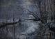 November im Wald - Serge Bego - Acryl auf Leinwand - Natur - November im Wald - Serge Bego - Acryl auf Leinwand - Natur -
